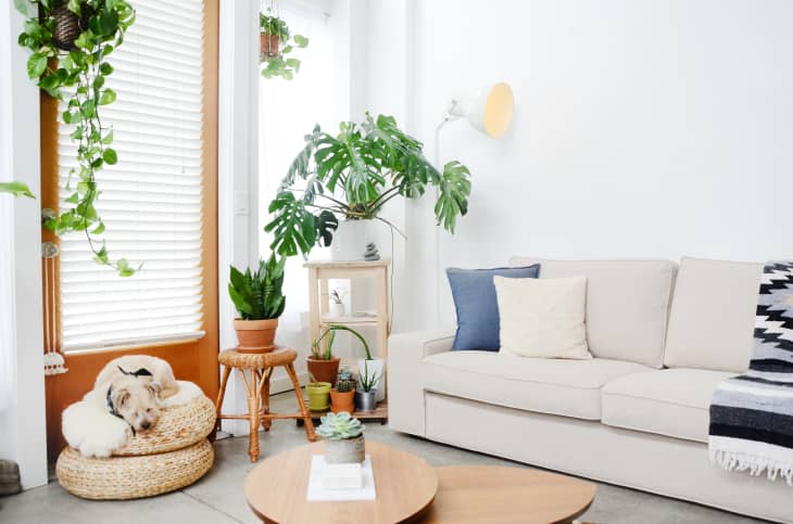 West Elm Henry Sofa Review Apartment Therapy